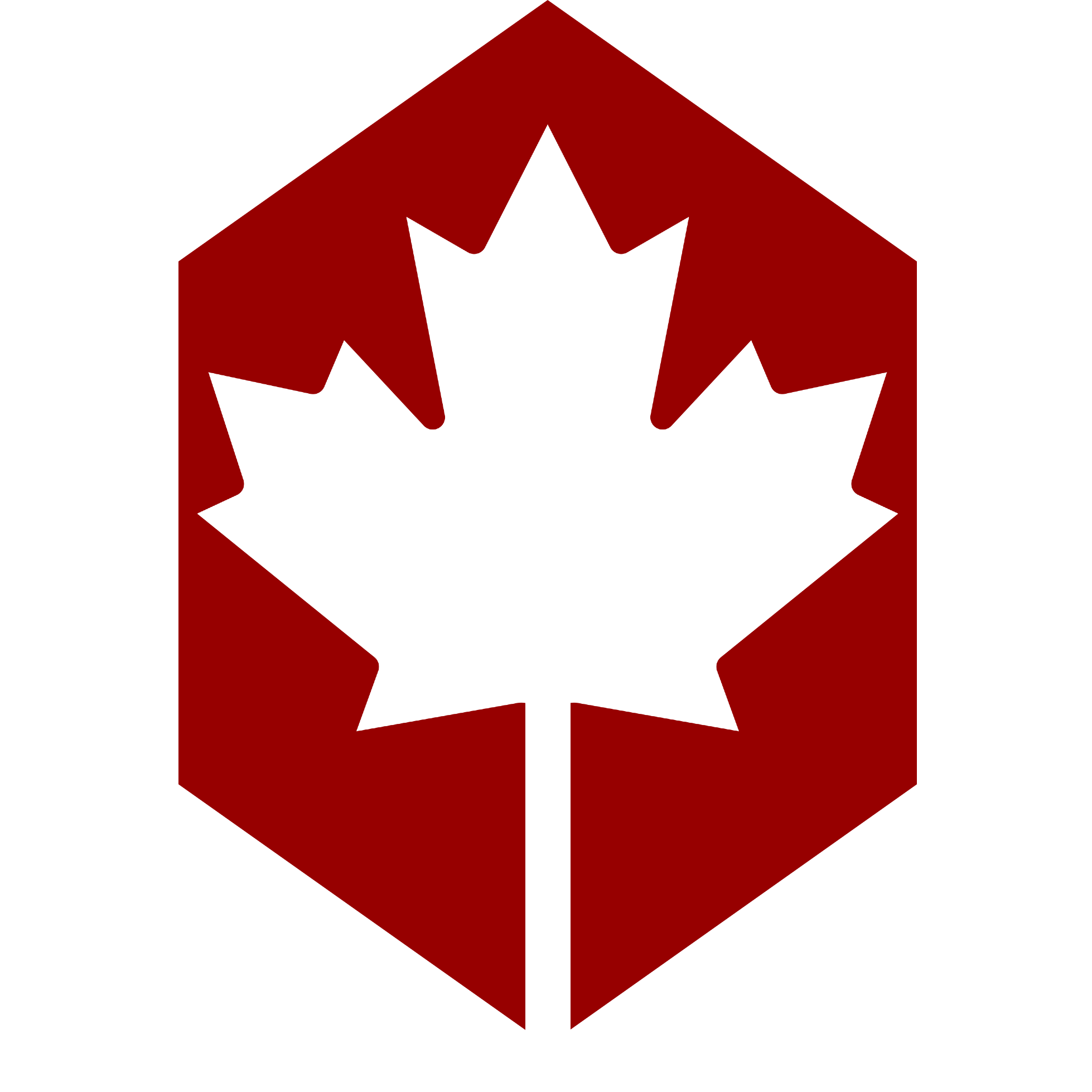 The Canadian Space